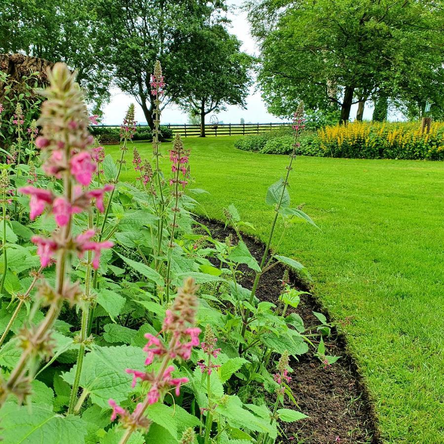 Op Stolk Bed & Breakfast Stolwijk Bagian luar foto