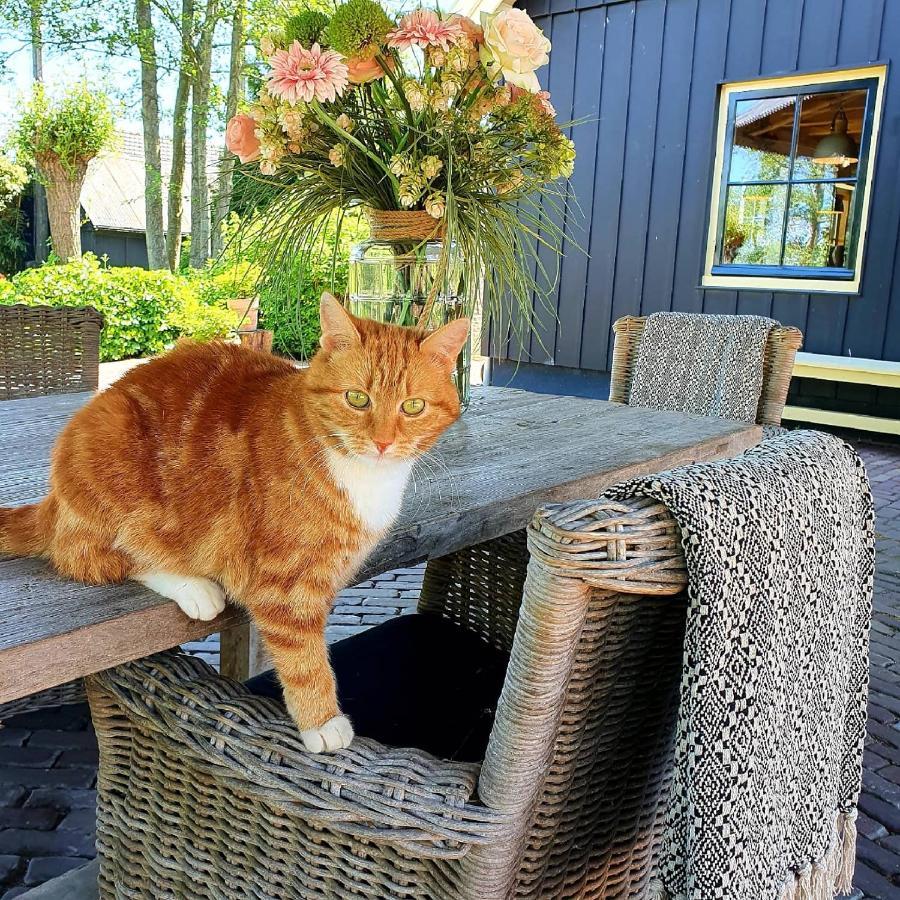 Op Stolk Bed & Breakfast Stolwijk Bagian luar foto